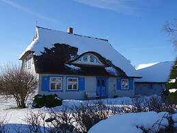 Captain House South Cats 8