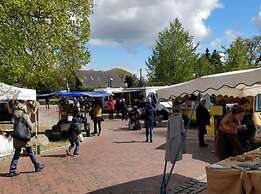 Captain House South Cats 8