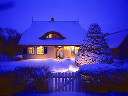 Captain House South Cats 8