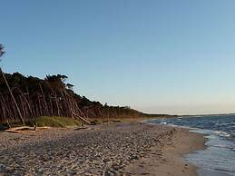 Captain House South Cats 8