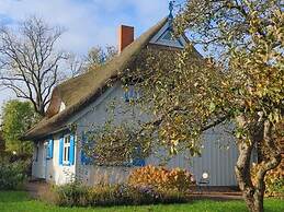 Captain House South Cats 8