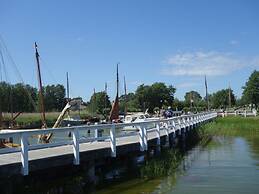 Captain House South Cats 8