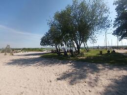 Captain House South Cats 8