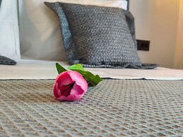 Calliope's Rhodes City Comfort