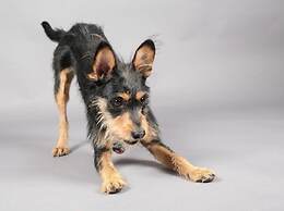 Valley Station Modern Retreat