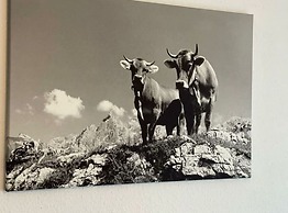 Valley Station Modern Retreat