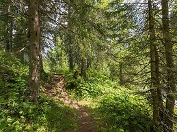 Holiday Home in St. Gallenkirch Near ski Area