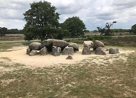 Lodges in Drenthe With Scenic Meadow Views