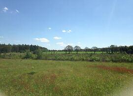Lodges in Drenthe With Scenic Meadow Views