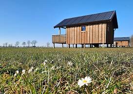 Lodges in Drenthe With Scenic Meadow Views