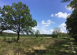 Lodges in Drenthe With Scenic Meadow Views