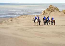 Apartment in De Haan Near the Beach