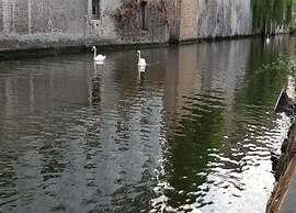 Apartment in De Haan Near the Beach