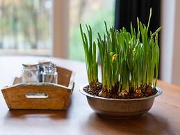 Comfortable Farmhouse With Terrace