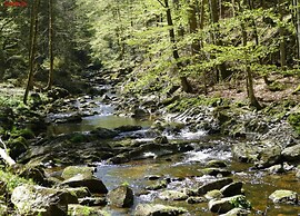 Appartement Sandra im Bayerischen Wald mit Pool