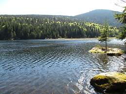 Nice Apartment in Bodenmais