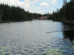 Nice Apartment in Bodenmais