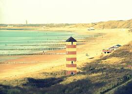 Stylish Zeeland Stay BBQ