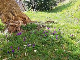 Holiday Home Biancospino