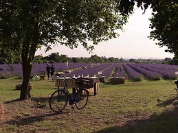 Nice Farmhouse in Asciano With Shared Pool