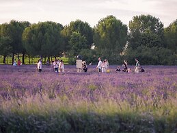 Nice Farmhouse in Asciano With Shared Pool