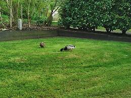 Holiday Home Coastal Star