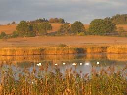 Schittering van de Zee