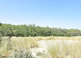 Beautiful Studio in the Center of De Panne