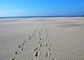 Beautiful Studio in the Center of De Panne