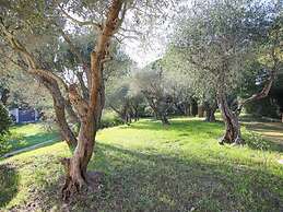 Cheerful Holiday Home in Grimaud With Private Pool