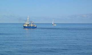 Thatched Roof House Kehl