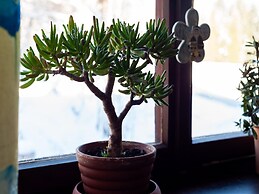 Cosy Apartment in Sibratsgfall With Garden
