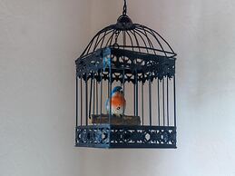 Holiday Homr in Marquise With Garden