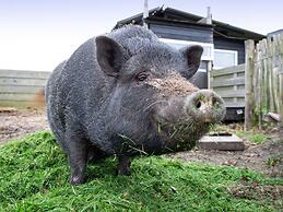 Cozy & Green Texel Escape for Two