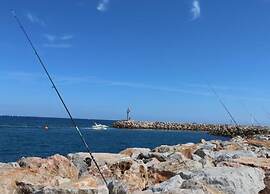 Comfortable Apartment With a Terrace