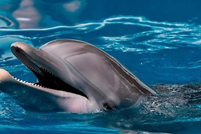 2 Bedroom Waterfront Pool Side!