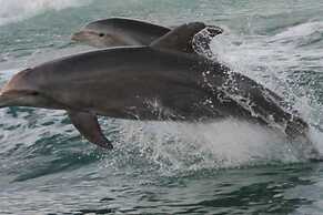 2 Bedroom Waterfront Pool Side!