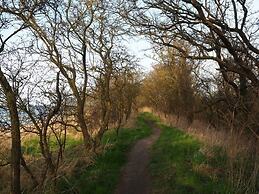 Lady and the Tramp Comfortable Vacation Home