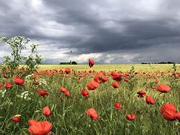 Lady and the Tramp Comfortable Vacation Home