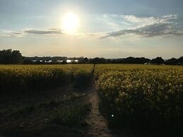 Lady and the Tramp Comfortable Vacation Home