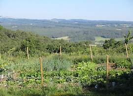 Holiday Home Near Saint-medard-d'excideuil