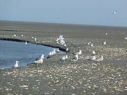 Hohe Lith 4.09 Modern Retreat