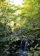 Holiday Apartment Rosi Denz