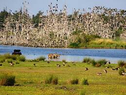 Strandperle Comfortable Holiday Residence