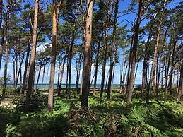 Baltic Sea Dromelhus