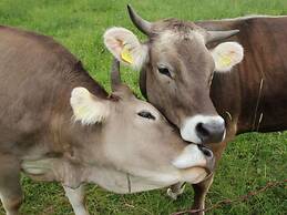 Hochgrat View in Steibis, Haus Akelei