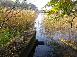Old Zerwelin Forestry Company
