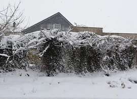 Delightful Villa With Swimming Pool