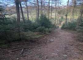 Delightful Villa With Swimming Pool