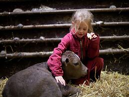 Ecological Bungalow on a Holiday Farm